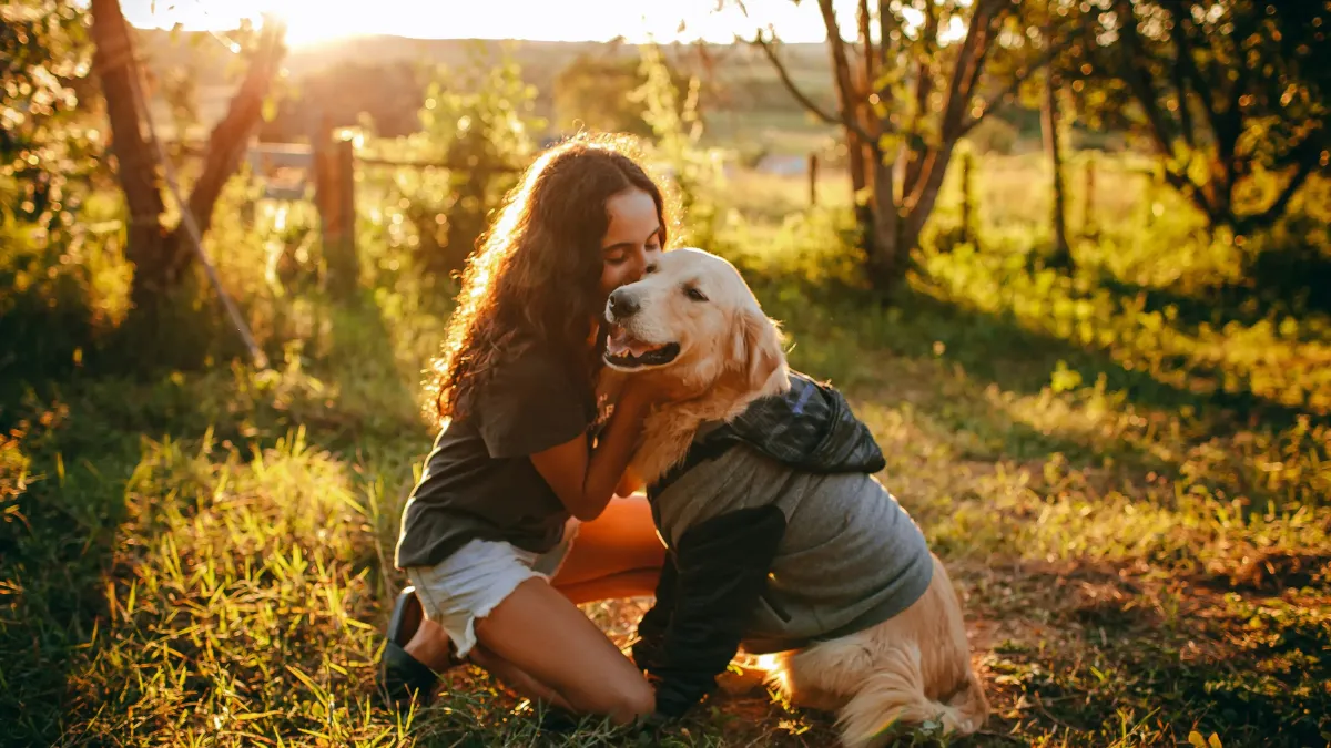 Top 10 Fun-Loving Dog Breeds for Playful Owners