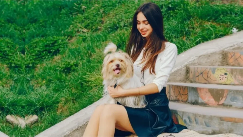 Top 7 Friendly Little Dog Breeds Full of Love