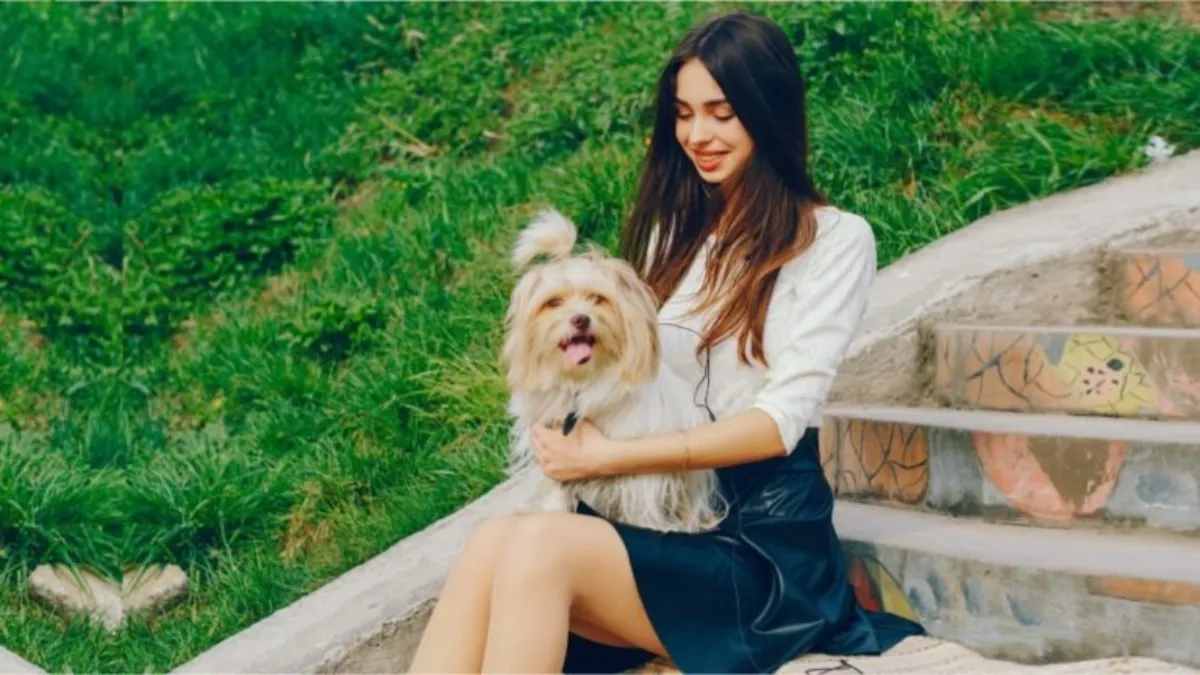 Top 7 Friendly Little Dog Breeds Full of Love