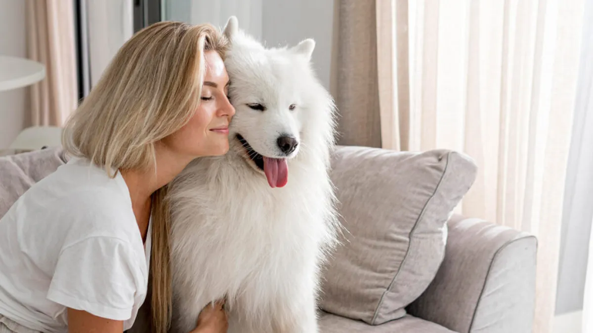 Top 6 Small Watchdog Breeds for Big Home Security