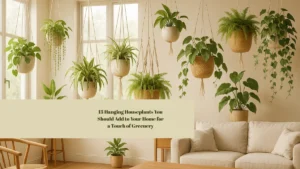 13 Hanging Houseplants You Should Add to Your Home for a Touch of Greenery