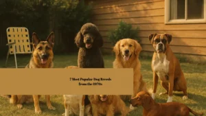 7 Most Popular Dog Breeds from the 1970s